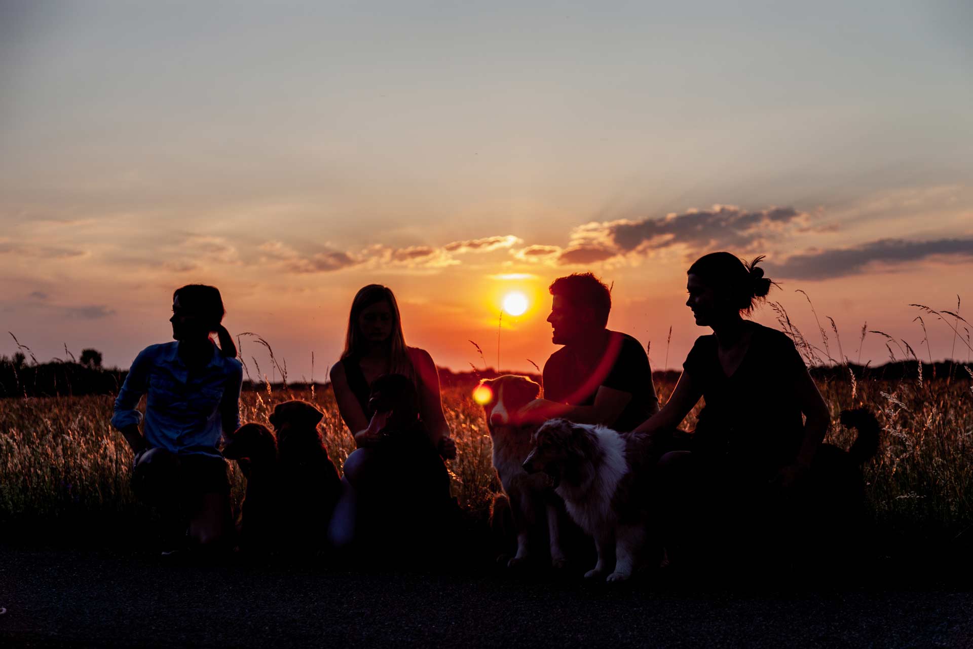 Canisensum: Hundeschule Wolfratshausen und Brückmühl